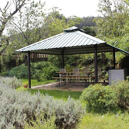 Senani Colonial Holiday Bungalow Νουβάρα Ελίγια Εξωτερικό φωτογραφία