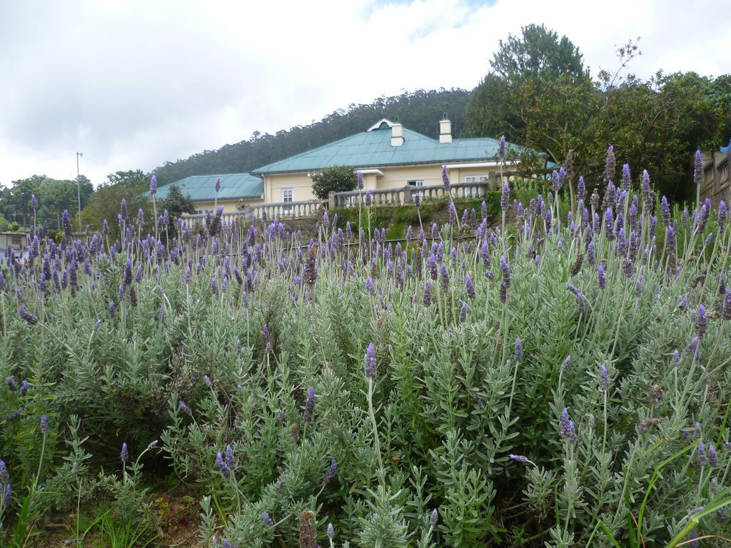 Senani Colonial Holiday Bungalow Νουβάρα Ελίγια Δωμάτιο φωτογραφία